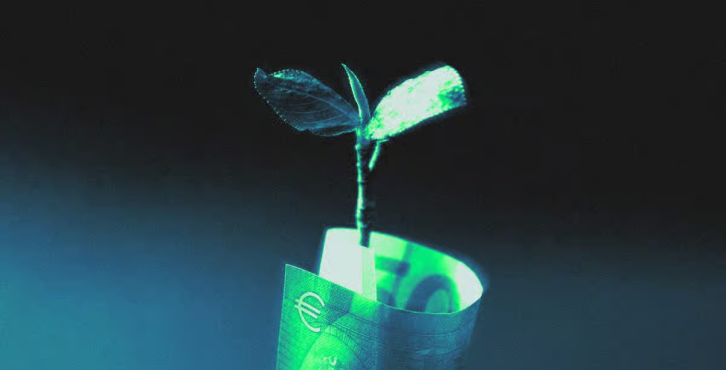 Sprout growing from a rolled banknote
